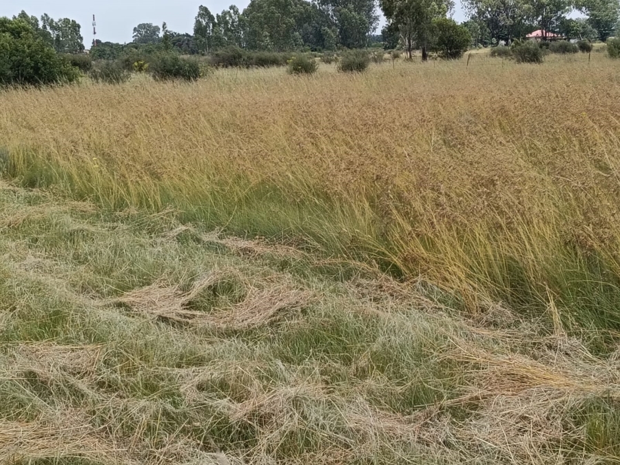 0 Bedroom Property for Sale in Klipdrift North West